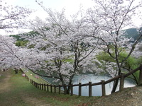 DSCF1222