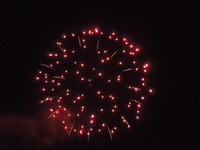 DSCN8715
