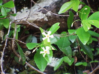DSCF7597