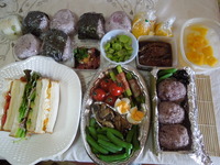 DSCN0193