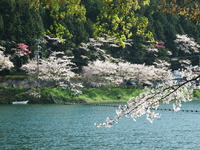 DSCF1274