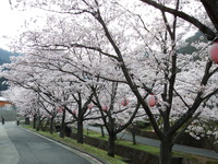 DSCF1190