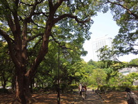 DSCN0371