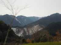 DSCN4393