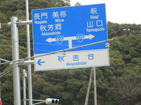DSCN5656