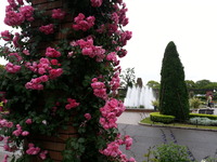 20160517_165043