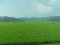 RIMG0206