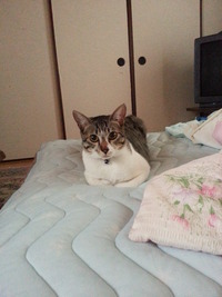 20150531_071245