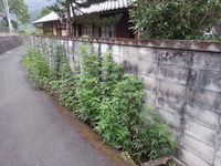 20160805_062411