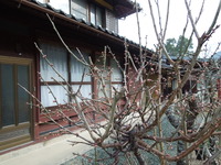 DSCN9903