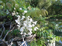 RIMG0780
