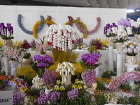 DSCN0488