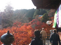 20141124_135413
