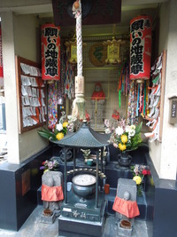 DSCN8223