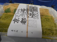 DSCN0495