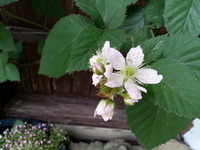 20160527_154801