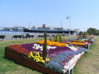 RIMG0002
