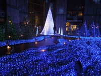 DSCN0807
