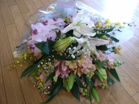 RIMG0534