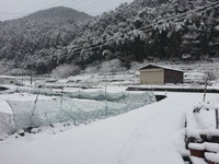 20170123_084152