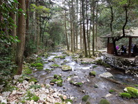 DSCN5762