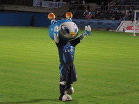DSCN8410