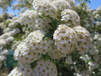 IMG_3773