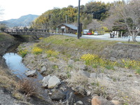 DSCN0858