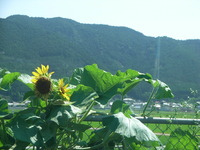 RIMG0055