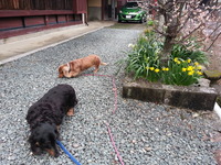 20150319_172236