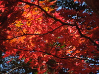 DSCN0589