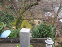 DSCN5598