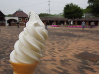 DSCN8890