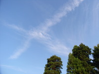 RIMG0875