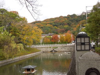 DSCN0923