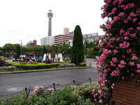 20160517_164930
