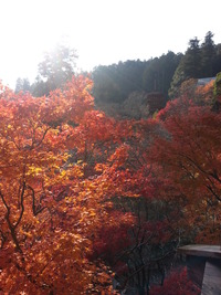 20141124_135428