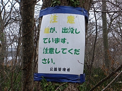 IMGP5666