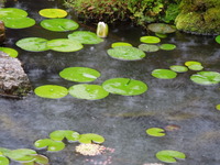 DSCN0219