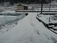 20170123_073151
