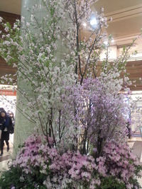 20160323_184337