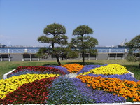 RIMG0007