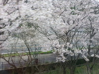 20170409_123521
