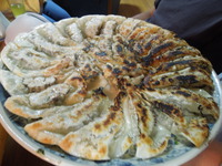 DSCN0081