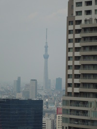 DSCN0533