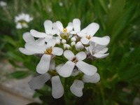 DSCN1194