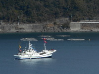 DSCN5446