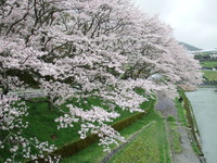 DSCF0971