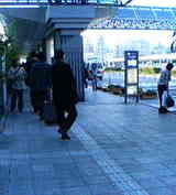 cbf97704.jpg