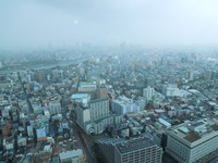 DSCN0377
